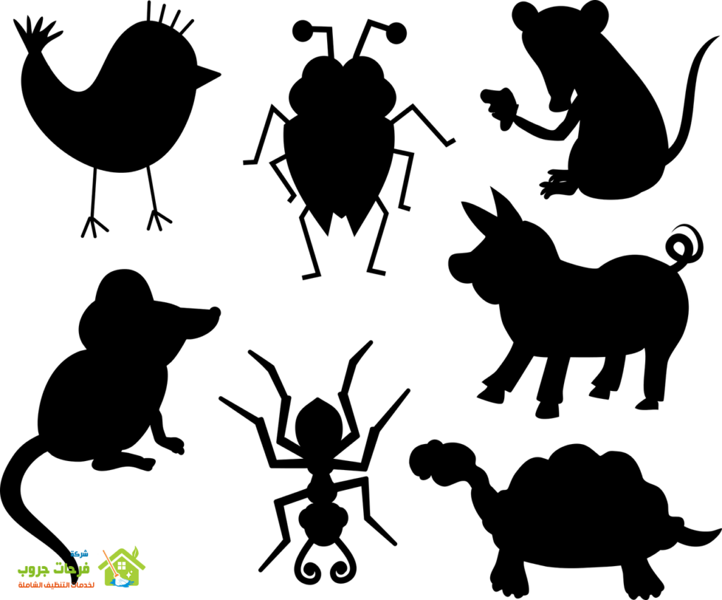 silhouette, animals, mammals-1718945.jpg