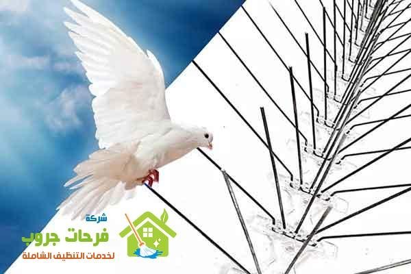 أفضل شركة طارد الحمام بالقطيف