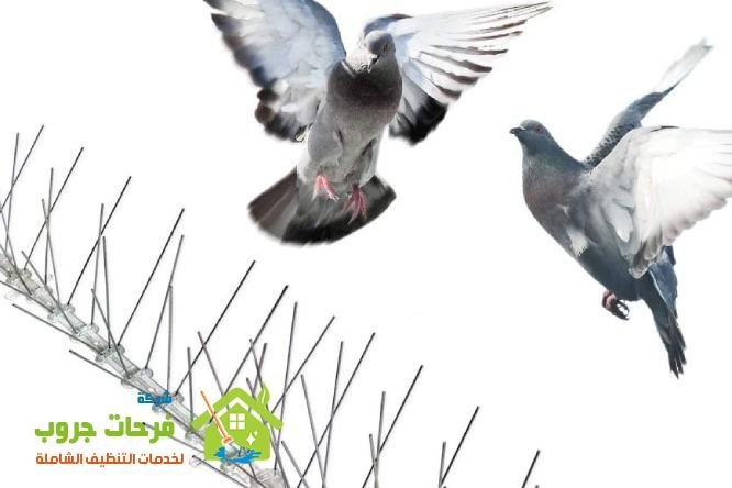 شركة تركيب طارد الحمام بالضحيه