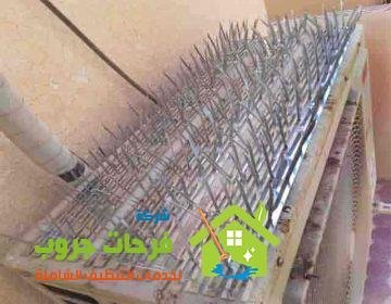 خدمات شركة تركيب طارد الحمام بالفيصله