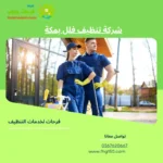 شركة تنظيف فلل بالدمام